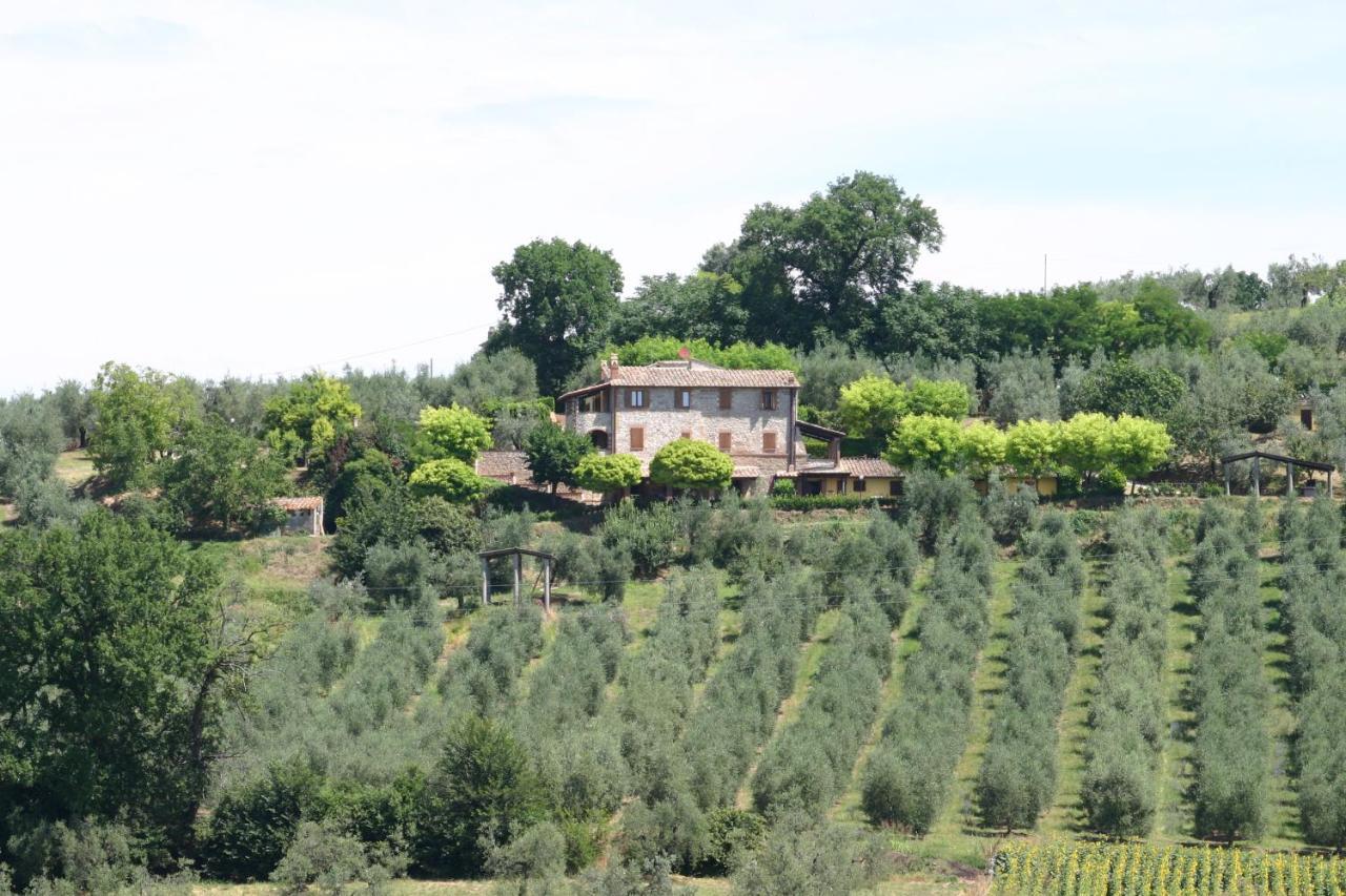 Agriturismo Oliveto Di Geltrude Contessa Amelia Zewnętrze zdjęcie